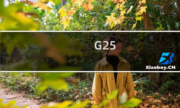 G25图片