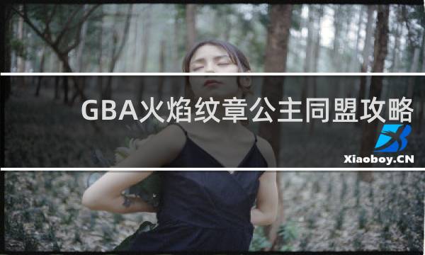 GBA火焰纹章公主同盟攻略