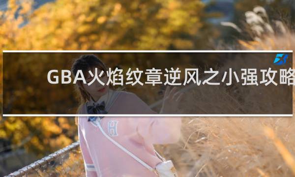 GBA火焰纹章逆风之小强攻略