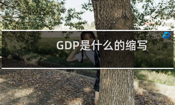 GDP是什么的缩写