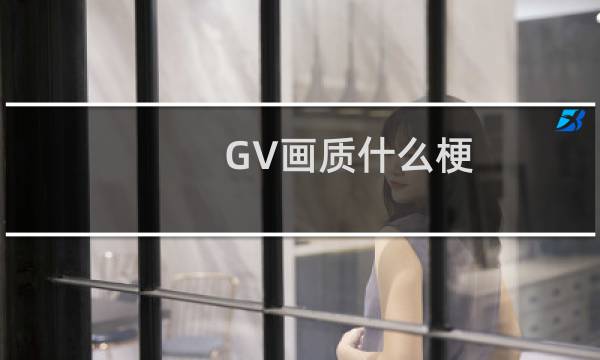 GV画质什么梗