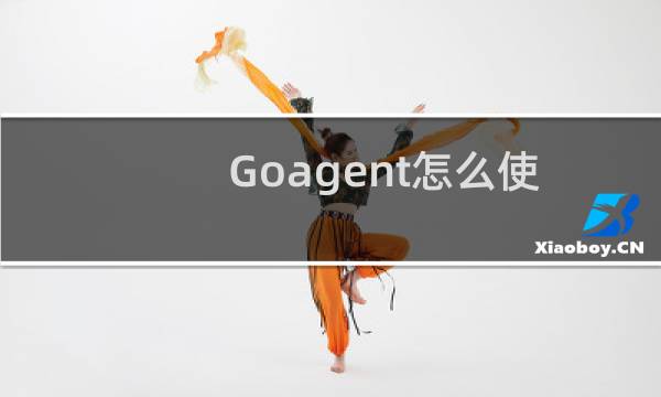 Goagent怎么使用(GogoTester的使用步骤)