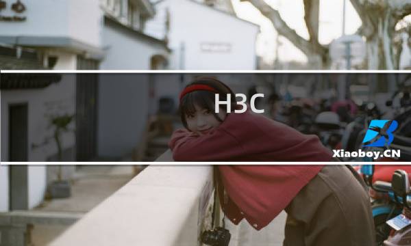 H3C ER3100路由器怎样设置接口上网 【图文】