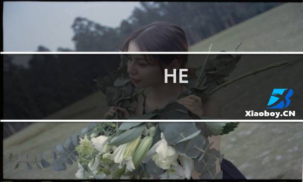 HE：最佳PHP虚拟主机推荐