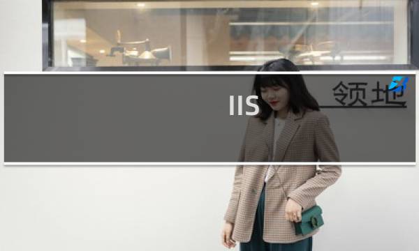 IIS 指定网站 开启GZIP功能