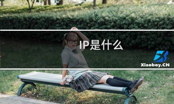 IP是什么