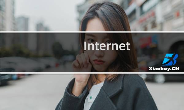 Internet Explorer 已停止工作