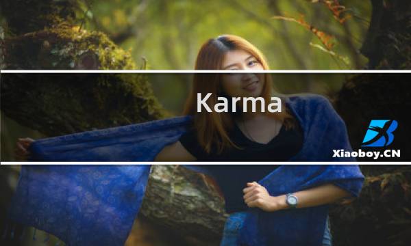 Karma is real什么梗