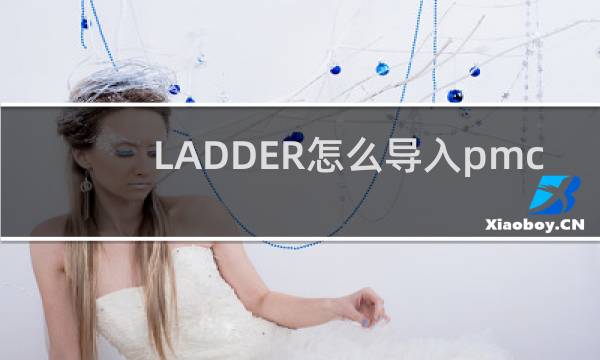 LADDER怎么导入pmc