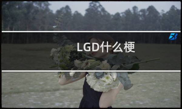 LGD什么梗