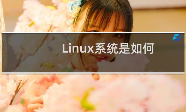Linux系统是如何挂载iscsi存储的?
