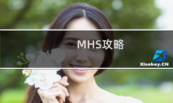 MHS攻略