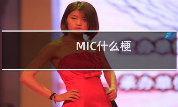 MIC什么梗