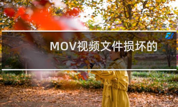 MOV视频文件损坏的修复
