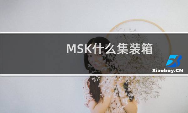 MSK什么集装箱