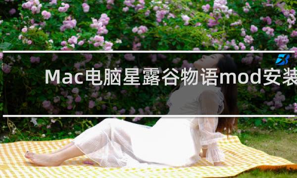 Mac电脑星露谷物语mod安装