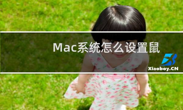 Mac系统怎么设置鼠标的灵敏度?