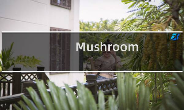 Mushroom 攻略
