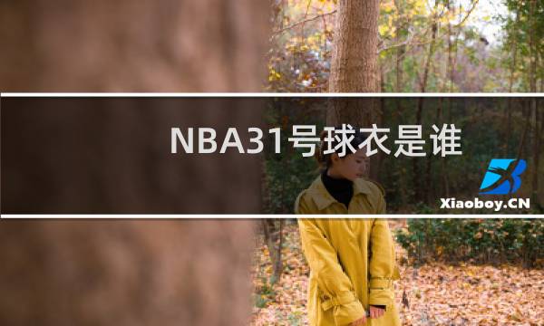 NBA31号球衣是谁