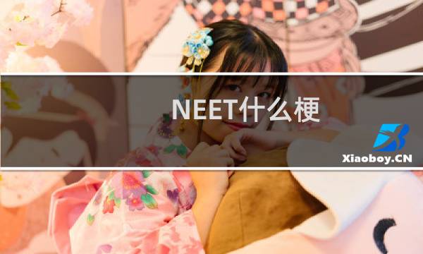 NEET什么梗