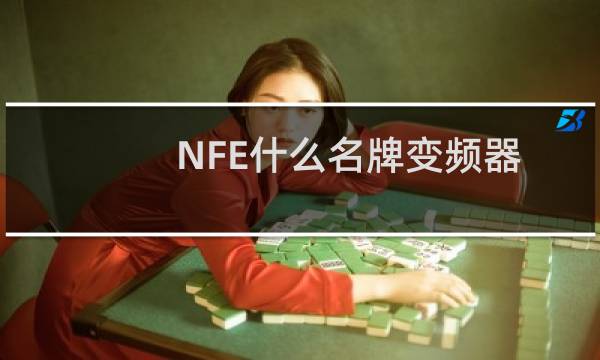 NFE什么名牌变频器