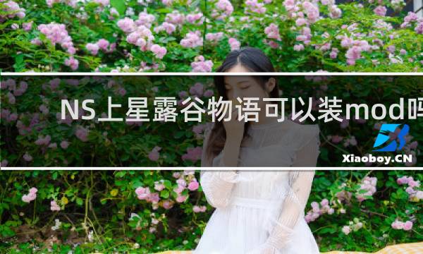 NS上星露谷物语可以装mod吗