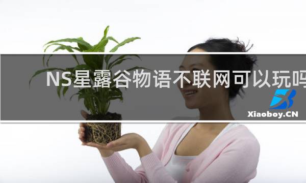 NS星露谷物语不联网可以玩吗