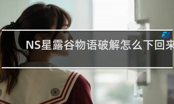 NS星露谷物语破解怎么下回来