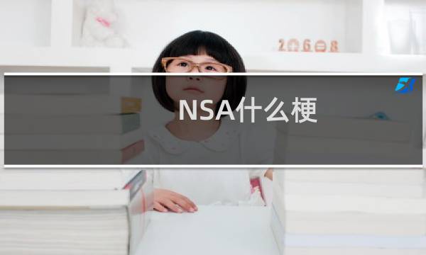 NSA什么梗