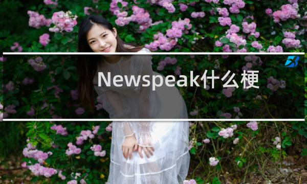 Newspeak什么梗