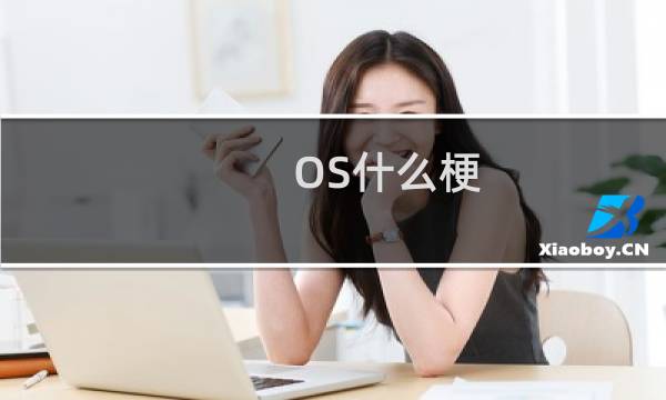 OS什么梗