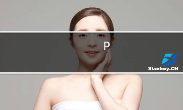 P 攻略