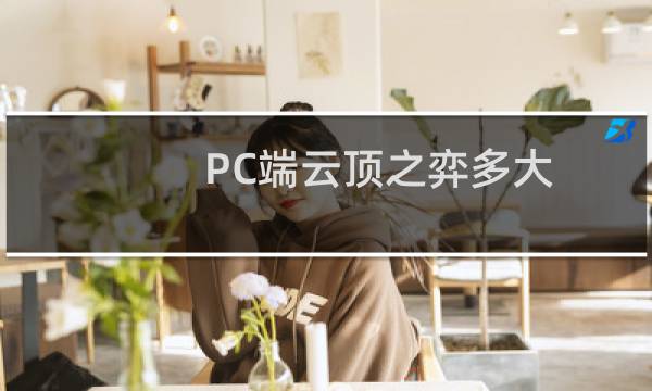 PC端云顶之弈多大