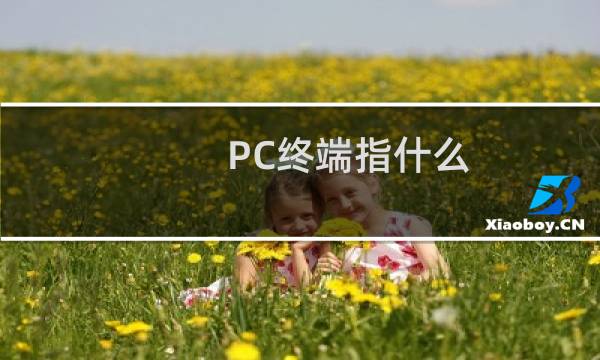 PC终端指什么