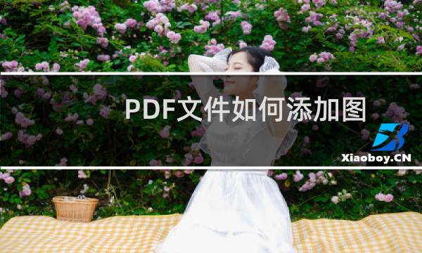 PDF文件如何添加图片 怎样编辑PDF图片