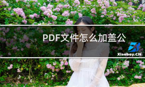 PDF文件怎么加盖公章？PDF文件加盖电子公章教程