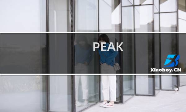 PEAK.攻略