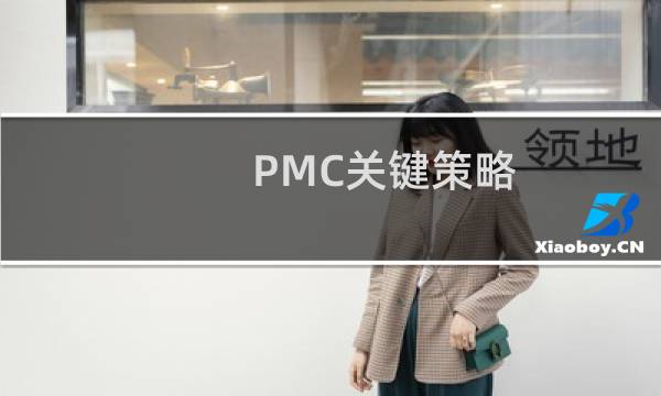 PMC关键策略