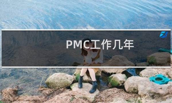 PMC工作几年