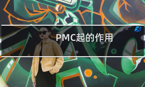 PMC起的作用