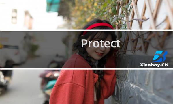 Protect 最终幻想x