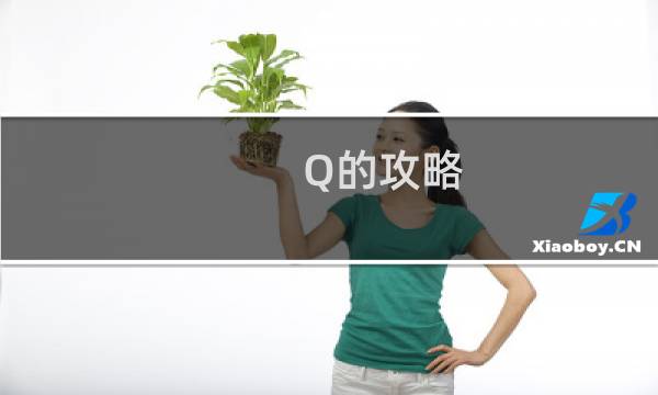 Q的攻略