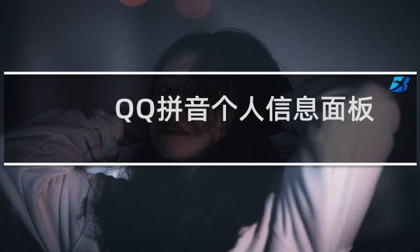 QQ拼音个人信息面板