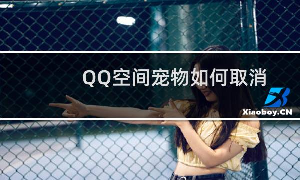 QQ空间宠物如何取消