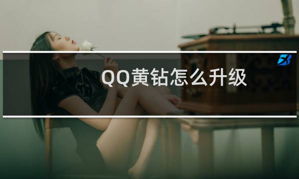 QQ黄钻怎么升级(qq黄钻怎么升级快)