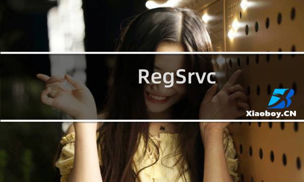 RegSrvc.exe - RegSrvc是什么进程 有什么用
