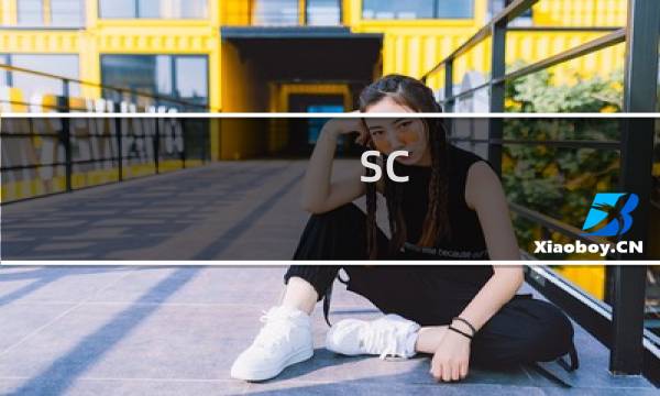 SC.exe使用完全指南