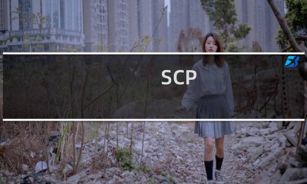 SCP 方便的Linux文件互传
