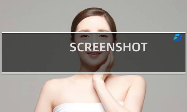 SCREENSHOT CAPTOR v4 正式版中文使用教程