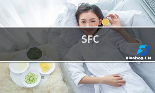 SFC 火焰之纹章-圣战的系谱第九章